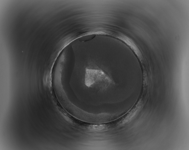 X0000094810858200711161506