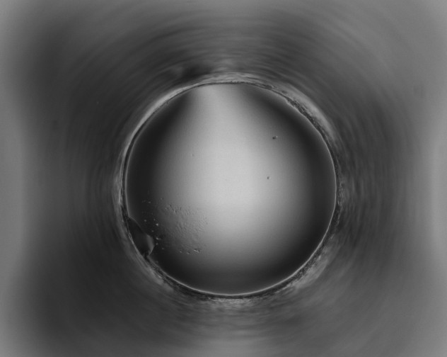 X0000094810860200711161506