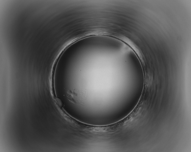 X0000094810861200711161506