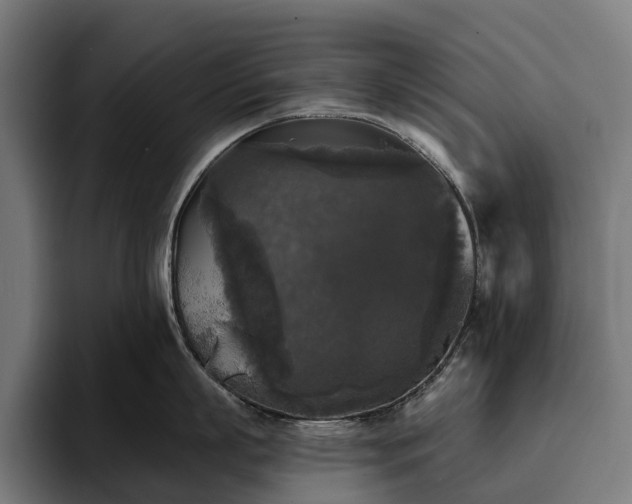 X0000094810863200711161506