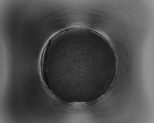 X0000094810864200711161506