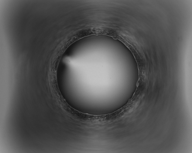 X0000094810865200711161505