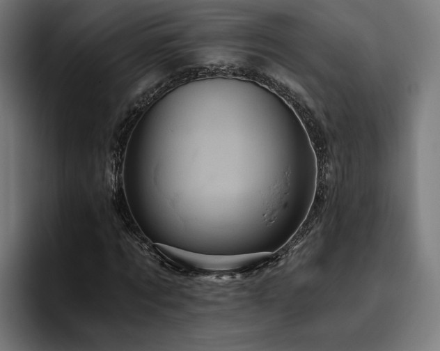 X0000094810869200711161505