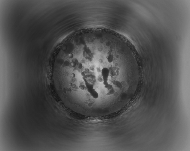 X0000094810871200711161505