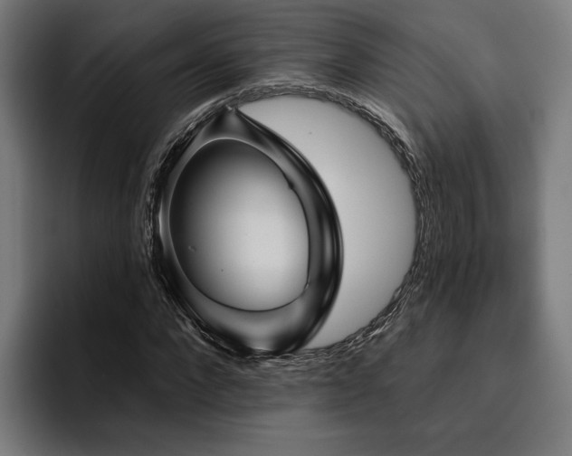 X0000094810872200711161505