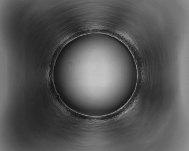 X0000094810873200711161505