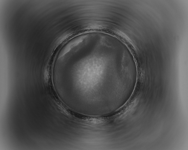 X0000094810874200711161505