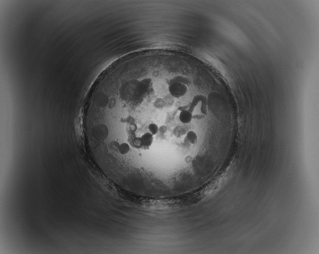 X0000094810875200711161505