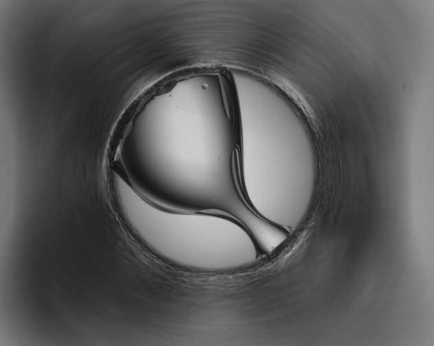 X0000094810876200711161505