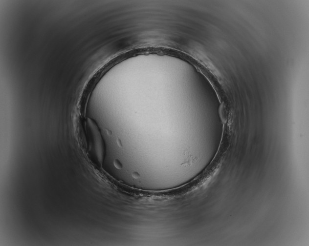 X0000094810877200711161505