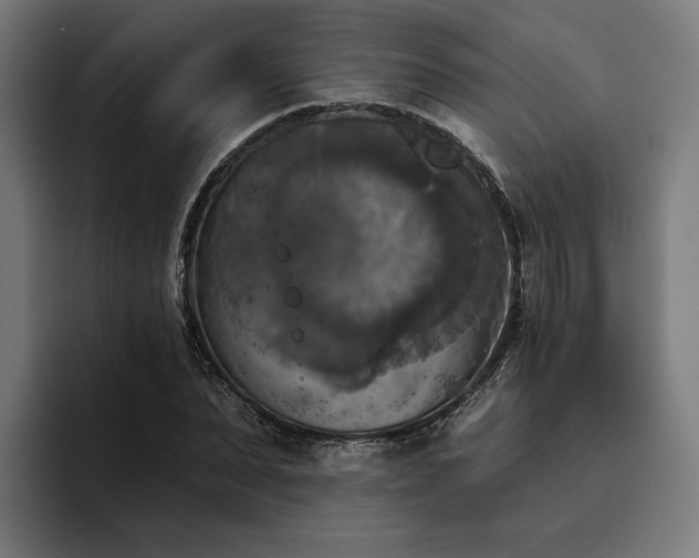 X0000094810879200711161505