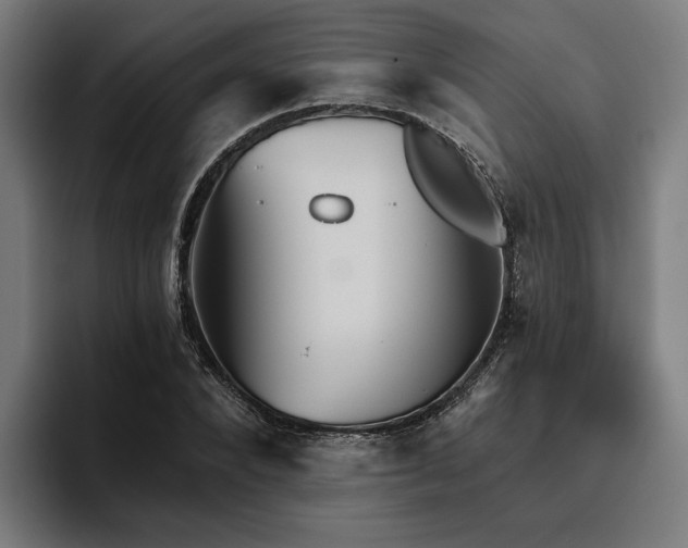 X0000094810880200711161505