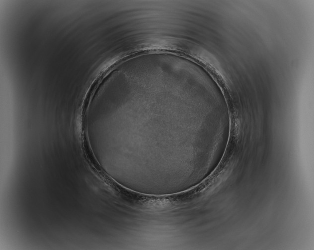 X0000094810882200711161505