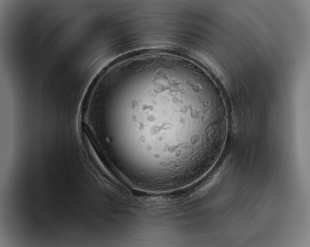 X0000094810883200711161505