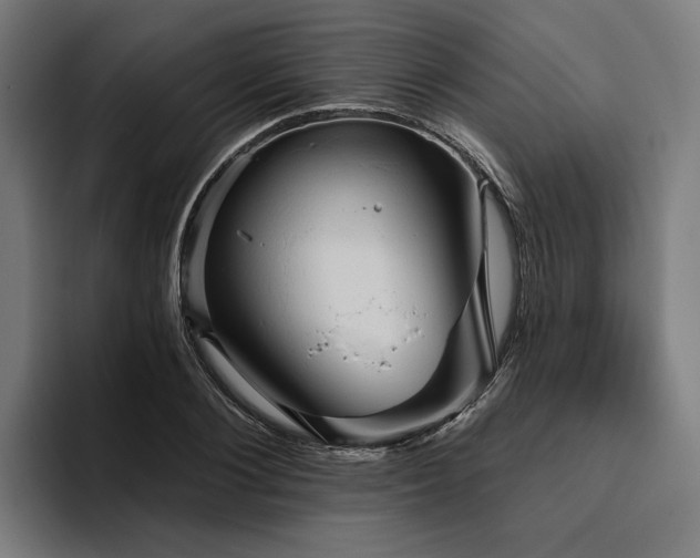 X0000094810884200711161505