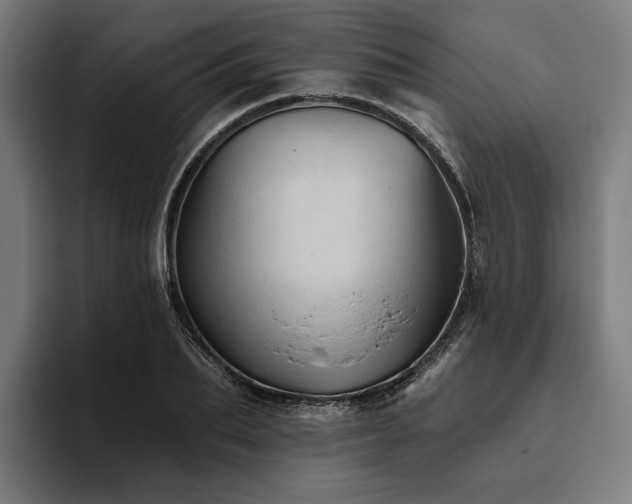 X0000094810887200711161505