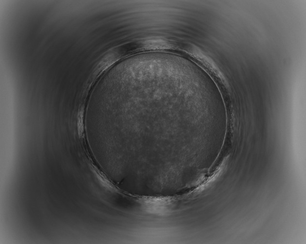 X0000094810889200711161505