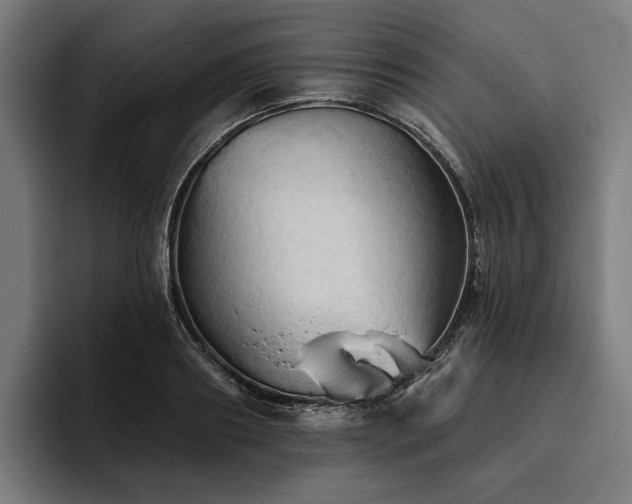 X0000094810890200711161505