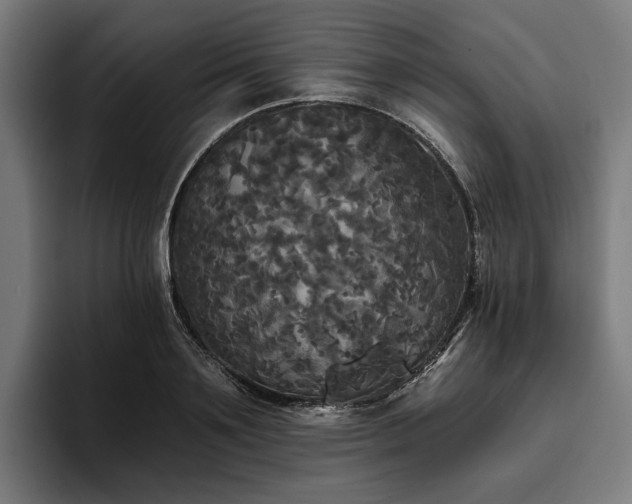 X0000094810891200711161505