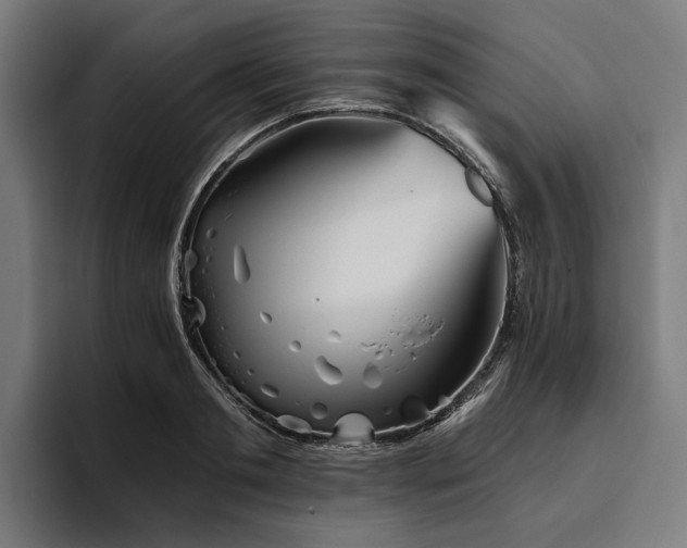 X0000094810893200711161505