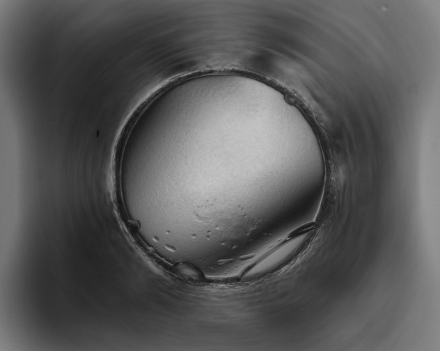 X0000094810894200711161505
