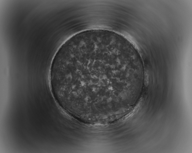 X0000094810895200711161505