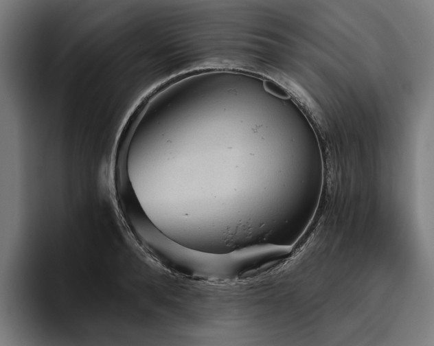 X0000094810896200711161505