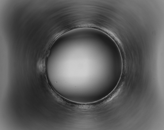 X0000094810897200711161505