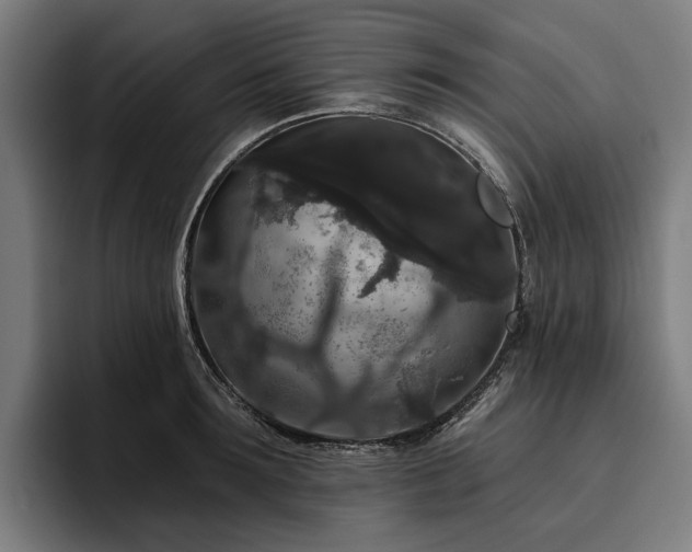 X0000094810899200711161505