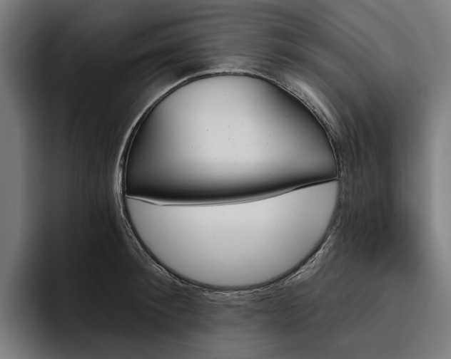 X0000094810900200711161505
