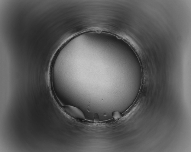 X0000094810902200711161505