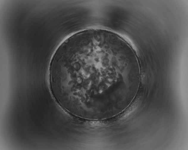 X0000094810903200711161505