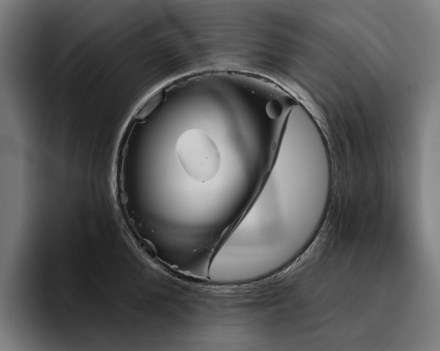 X0000094810904200711161505