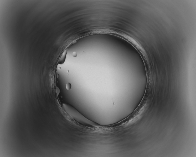 X0000094810905200711161505