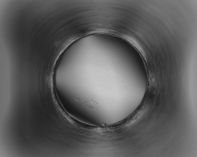 X0000094810906200711161505