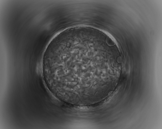 X0000094810911200711161505