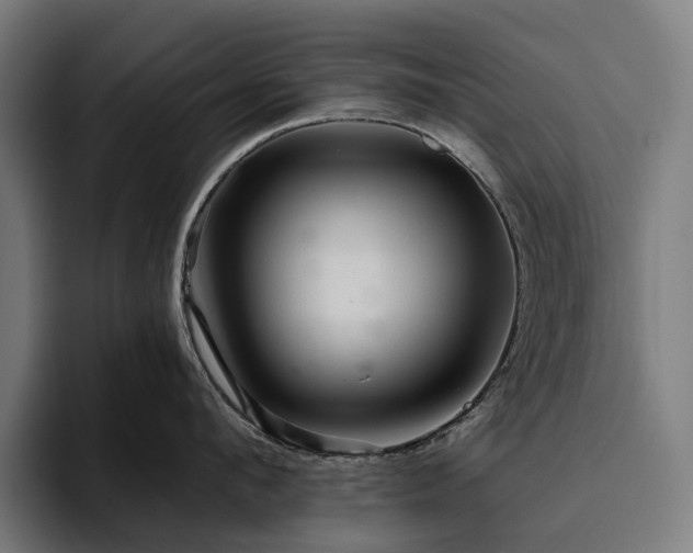 X0000094810912200711161505