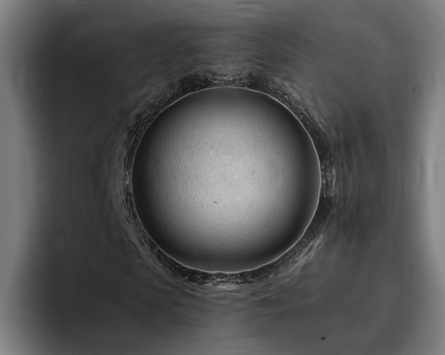 X0000094810913200711161504