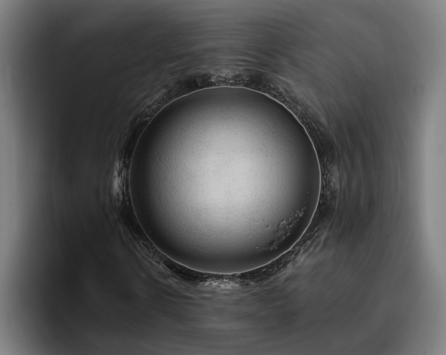 X0000094810914200711161504