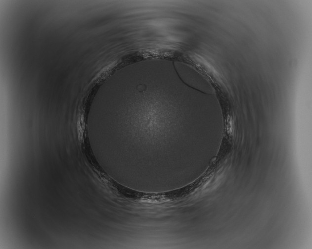 X0000094810915200711161504
