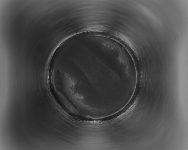 X0000094810923200711161504