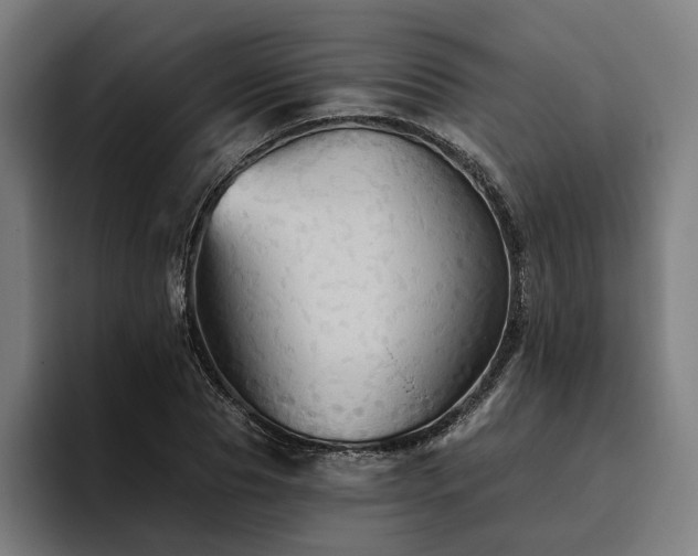 X0000094810929200711161504