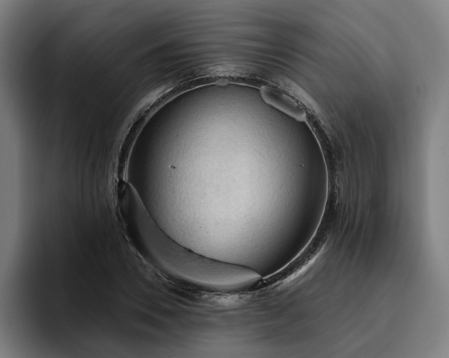 X0000094810930200711161504