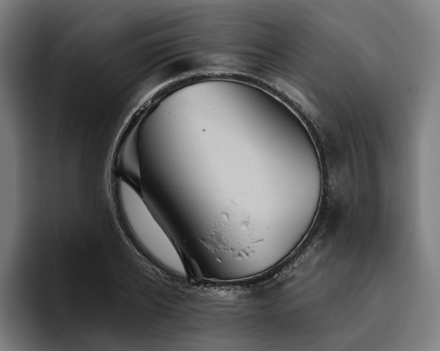 X0000094810934200711161504
