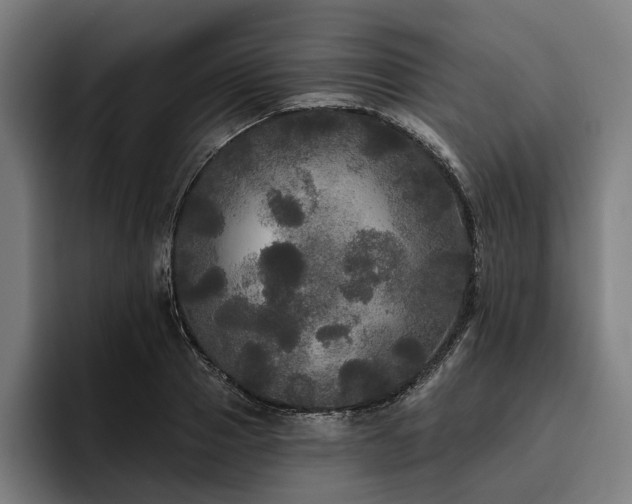 X0000094810937200711161504