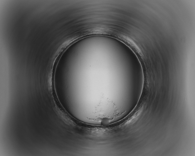 X0000094810938200711161504