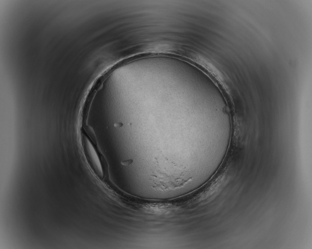 X0000094810939200711161504