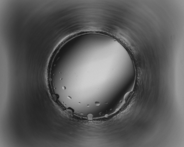 X0000094810942200711161504