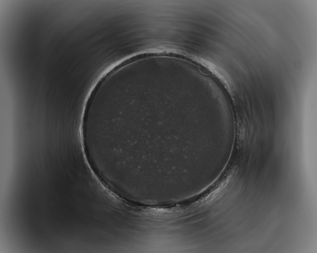 X0000094810943200711161504