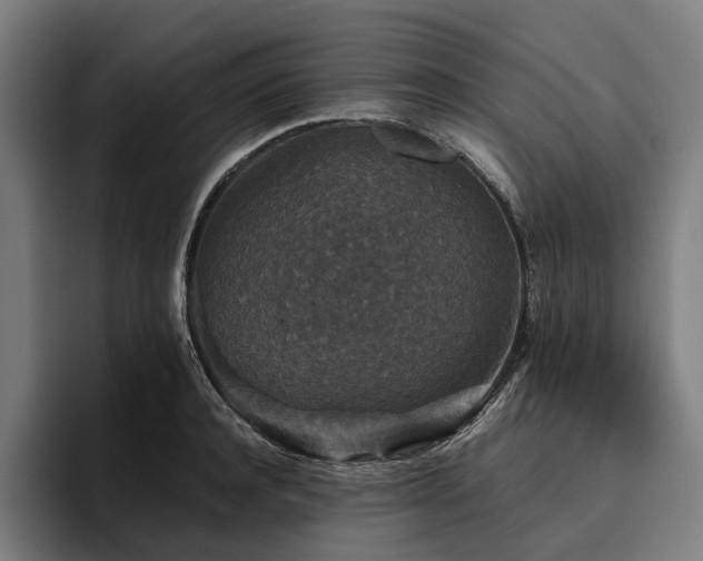X0000094810944200711161504